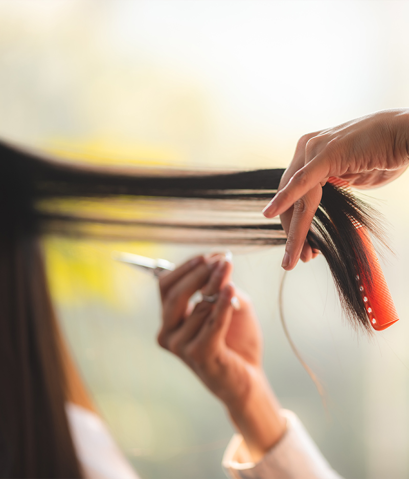 Peluquería a domicilio